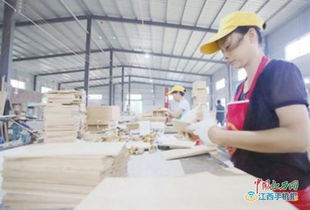 安福 大力發展產業扶貧